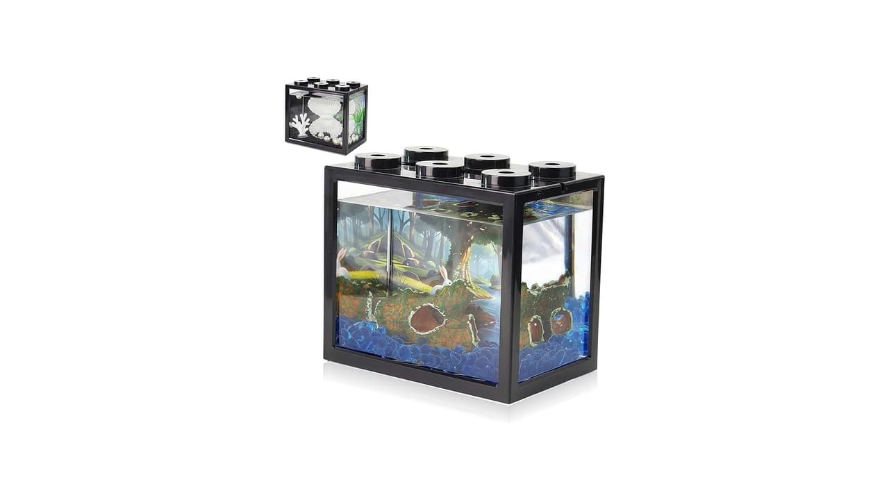 Qual Melhor Aquário para Peixe Betta? Guia Completo