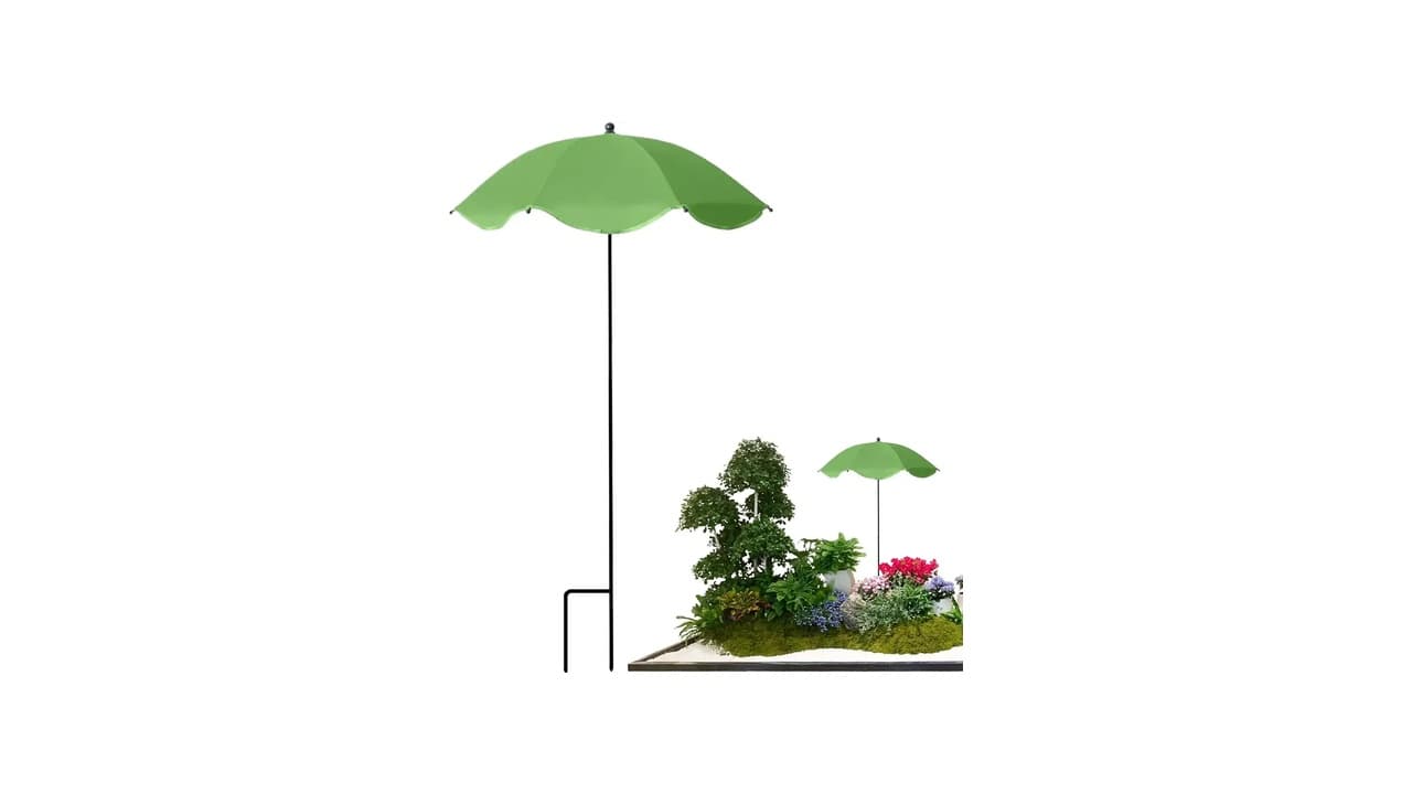 Qual Melhor Árvore para Sombra no Quintal: 10 Opções Duráveis