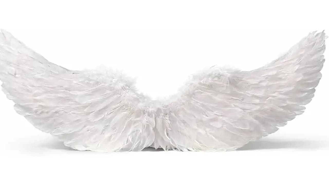 Qual Melhor Asa de Anjo de Penas para Festas e Cosplay