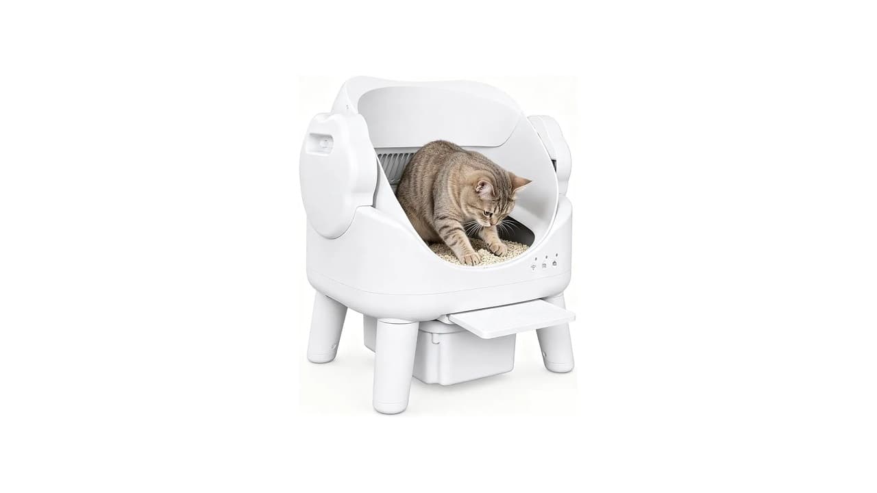Qual Melhor Caixa de Areia Automática para Gato em 2026? Confira as 15 Opções Inteligentes e Silenciosas