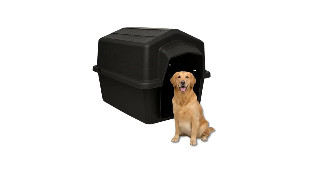 Qual Melhor Casinha para Cachorro Grande: 7 Opções Resistentes e Confortáveis