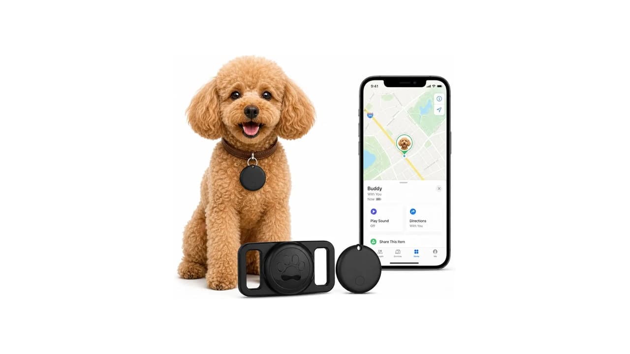 Qual Melhor Coleira com GPS para Cachorro e Gato sem Mensalidade: Confira 8 Opções Confiáveis!