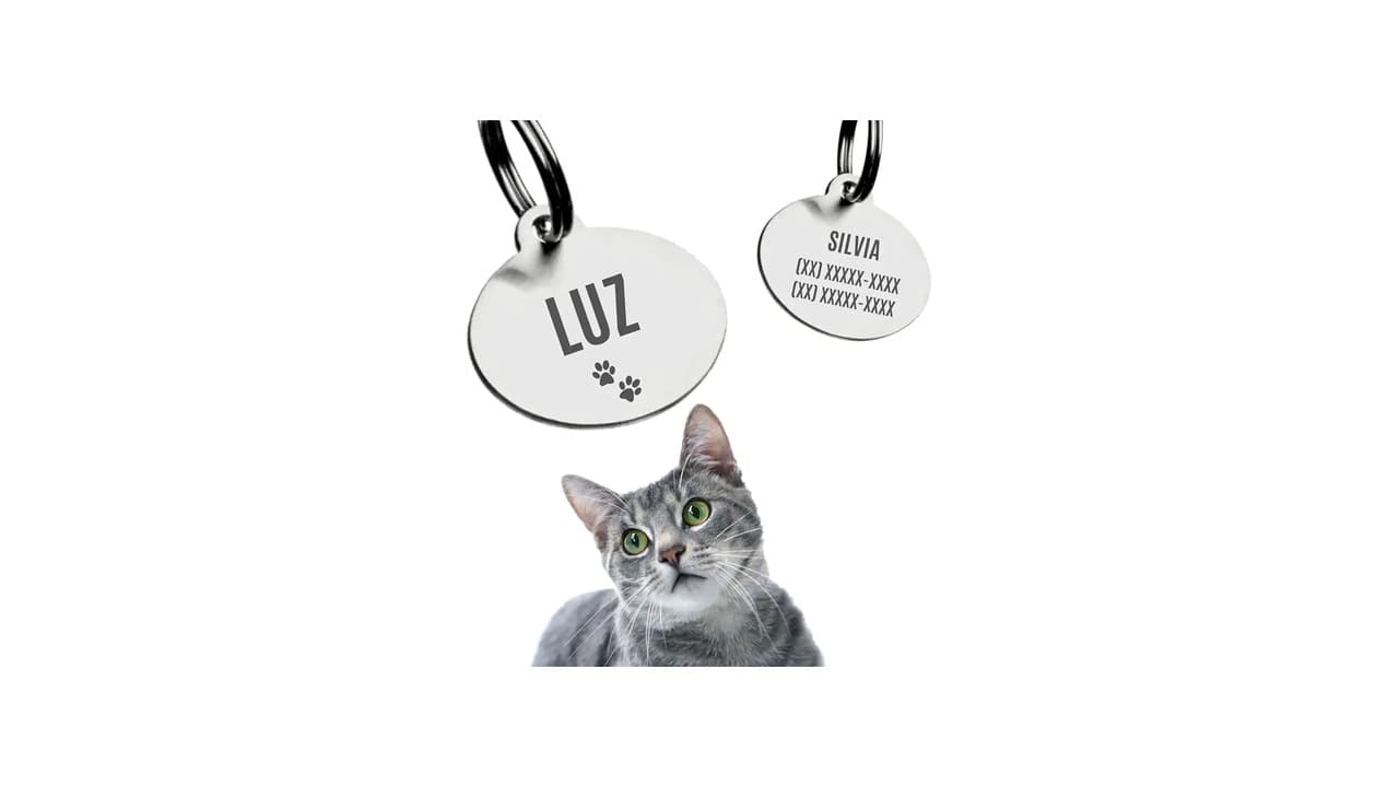Qual Melhor Coleira com Plaquinha de Identificação Personalizada para Segurança e Estilo