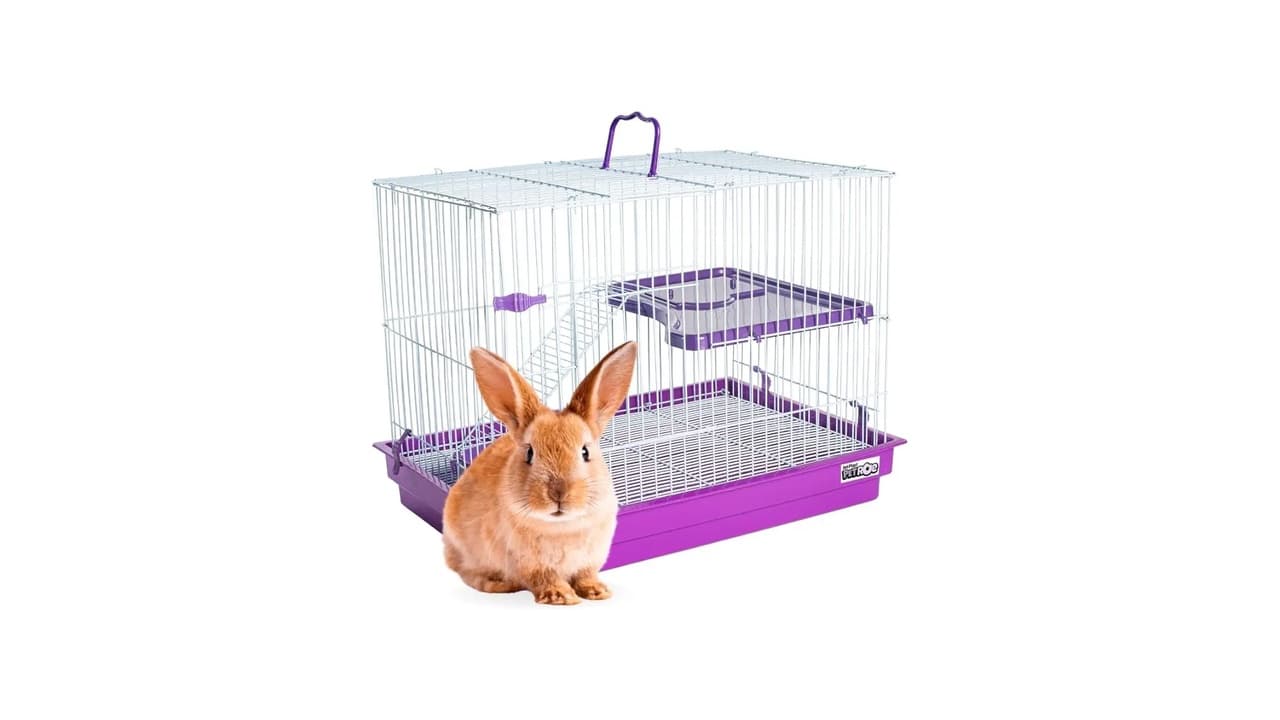 Qual Melhor Gaiola Coelho: Guia Completo para Escolher o Habitat Ideal