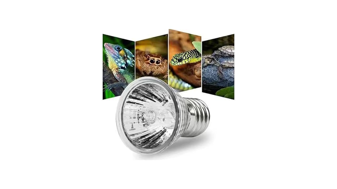Qual Melhor Lâmpada UV para Répteis? 8 Opções Testadas e Aprovadas