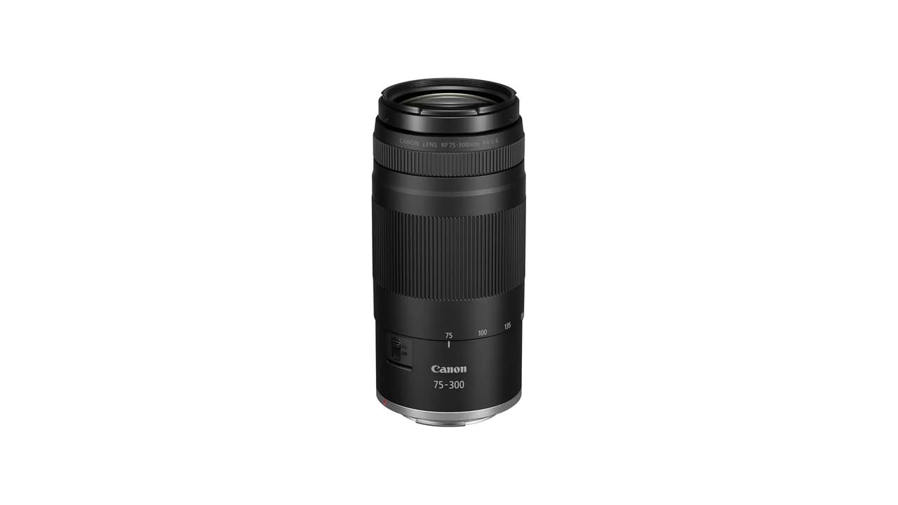 Qual Melhor Lente Teleobjetiva para Vida Selvagem: Guia Completo para Fotógrafos de Natureza