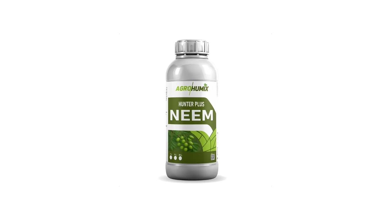 Qual o Melhor Óleo de Neem? 10 Opções com Azadiractina e Uso Orgânico