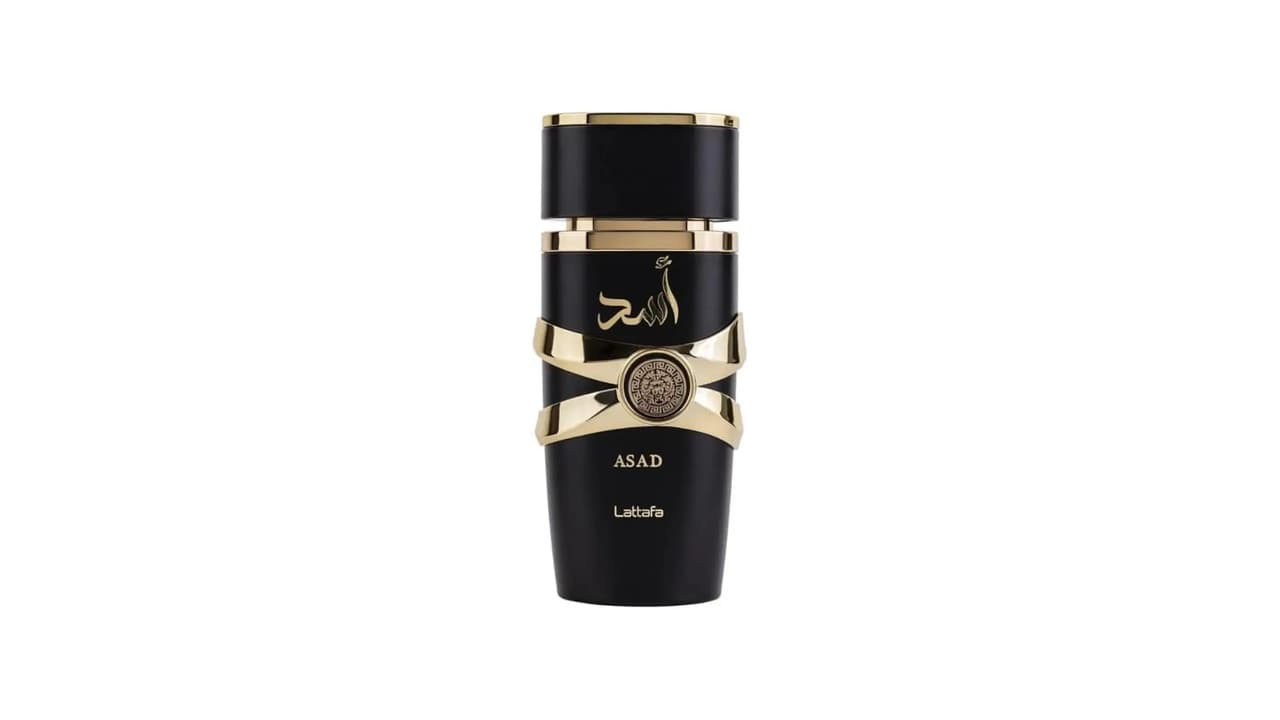 Qual Melhor Perfume Amadeirado Masculino Importado para Noites Especiais?