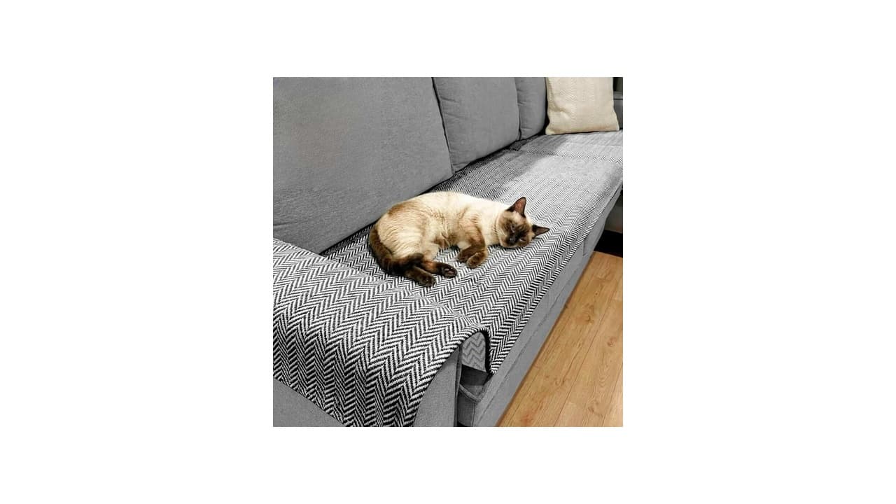 Qual Melhor Protetor de Sofá para Pets: 12 Opções com Proteção Total