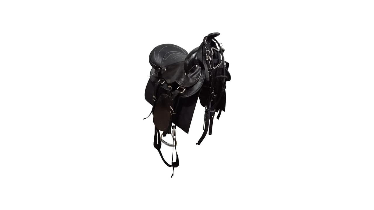 Qual Melhor Sela para Cavalgada: 10 Modelos para Passeio e Trabalho