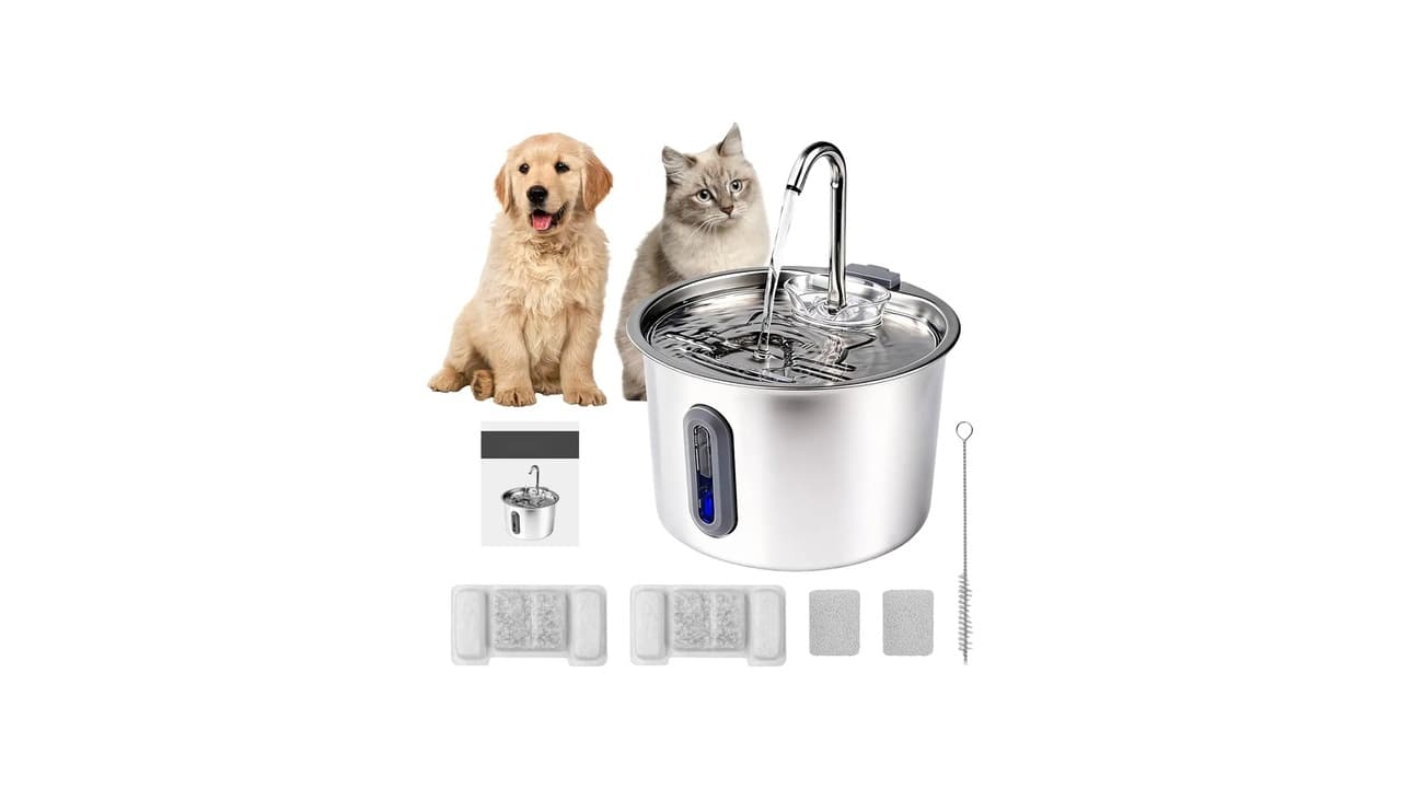 Qual Melhor Tipo de Bebedouro para Gatos: 10 Modelos Testados e Aprovados