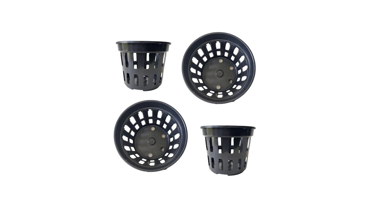 Qual Melhor Vaso para Orquídeas? Guia Completo para Escolher