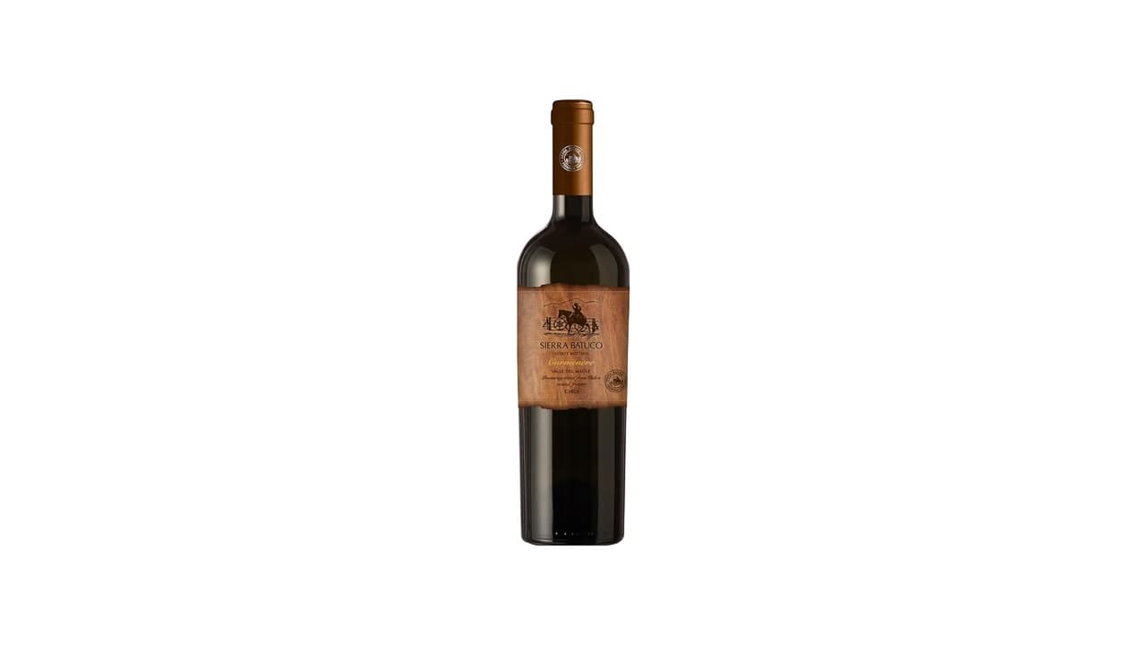 Qual Melhor Vinho Argentino vs Chileno? Guia de Escolha