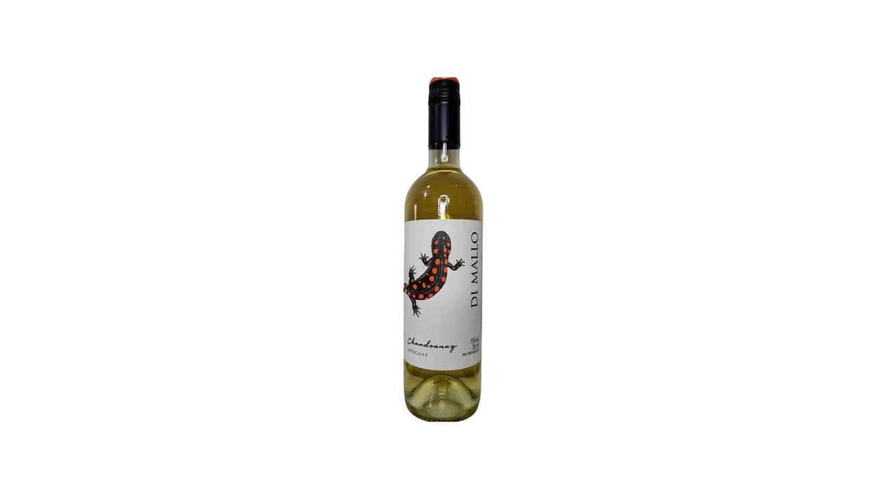 Qual Melhor Vinho Branco para Risoto e Cozinhar: 5 Opções Premium