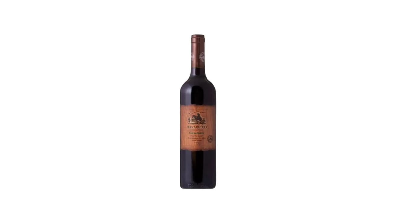 Qual Melhor Vinho Chileno Carménère? Guia Completo