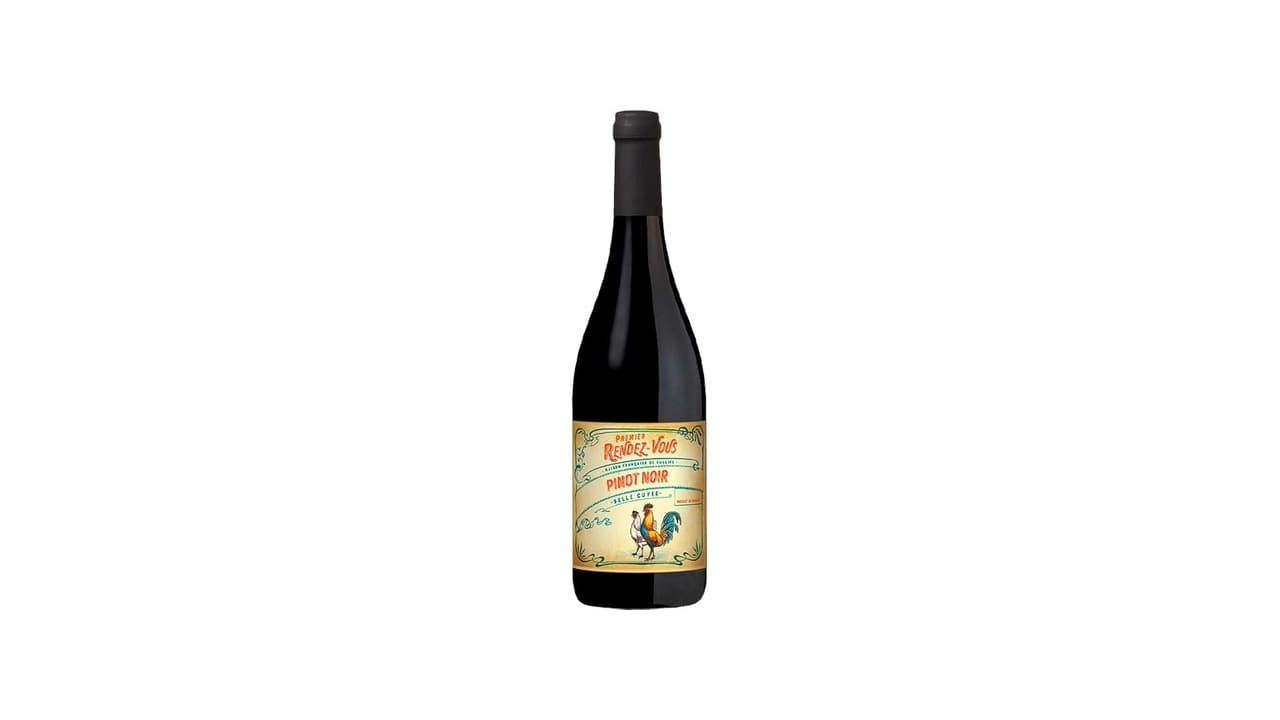 Qual Melhor Vinho Pinot Noir Argentino e Francês? Guia Completo para Adquirir