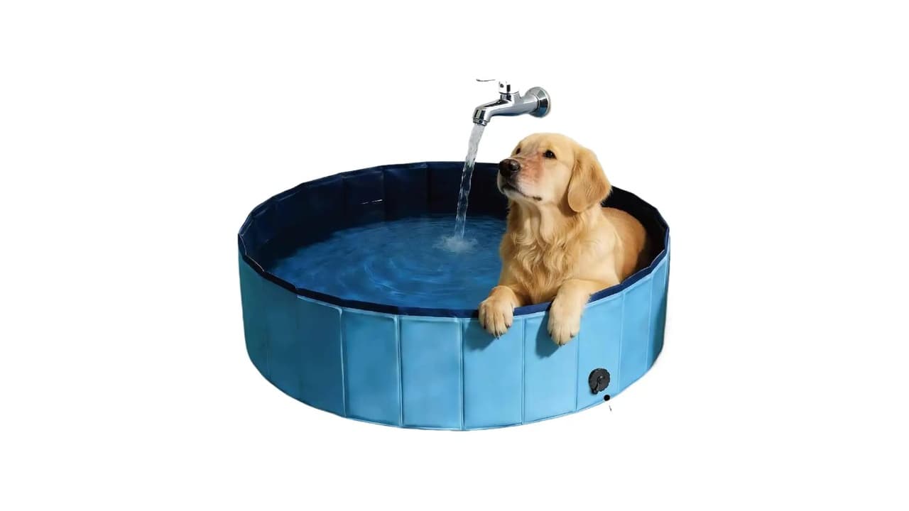 Qual Melhor Banheiro para Cachorro: 10 Modelos em Destaque