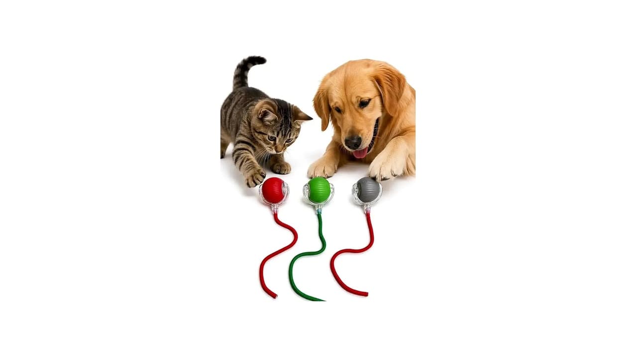 Qual Melhor Brinquedo para Cachorro Sozinho: Tire a Ansiedade!