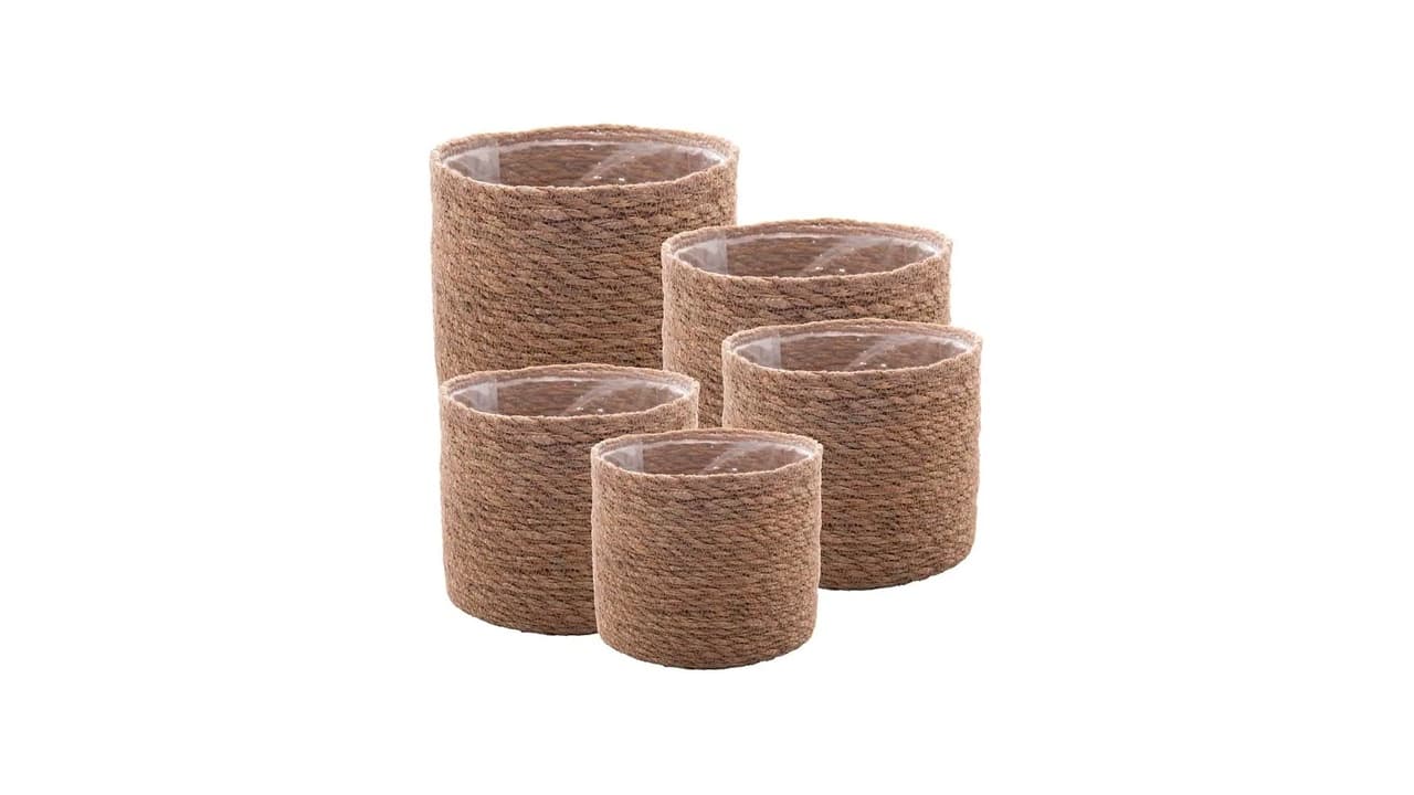 Qual Melhor Cachepot: Guia Completo para Escolher o Modelo Perfeito