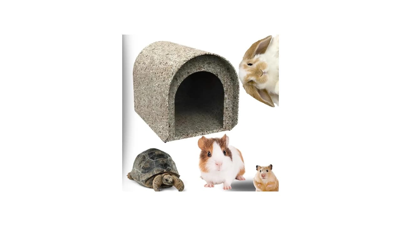 Qual Melhor Casinha para Coelho: 10 Modelos Ecológicos e Duráveis em Destaque
