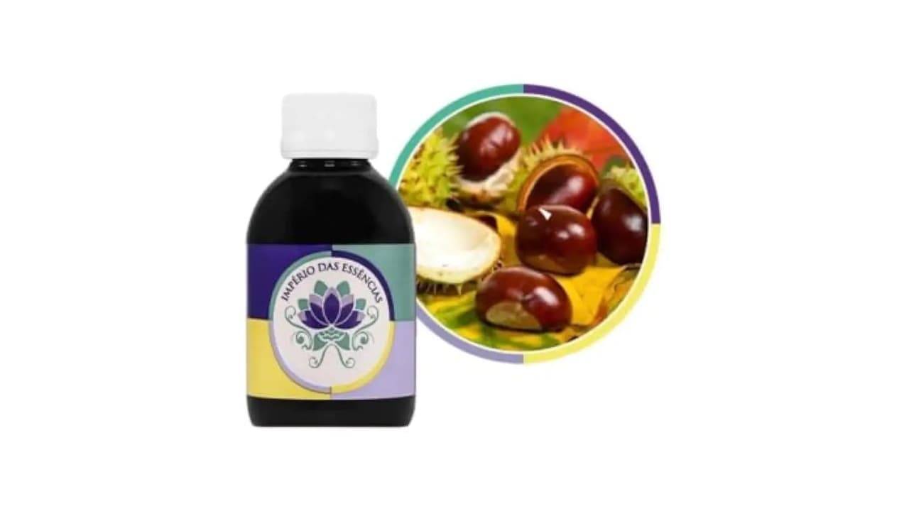 Qual Melhor Castanha-da-índia: Guia Completo para Escolher o Produto Ideal