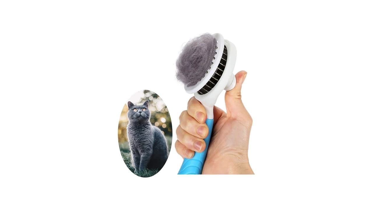 Qual Melhor Escova para Gato? 10 Modelos para Pelos Saudáveis