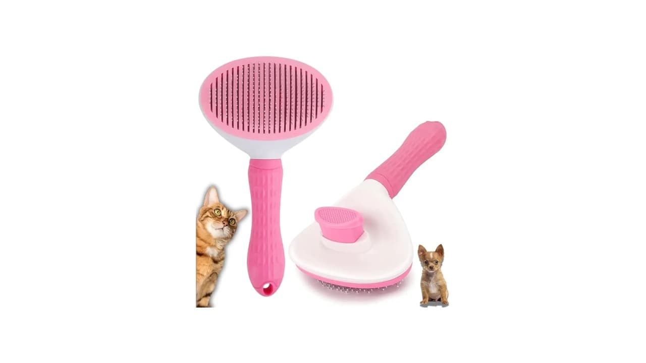 Qual Melhor Rasqueadeira para Gatos? 6 Modelos que Realmente Funcionam