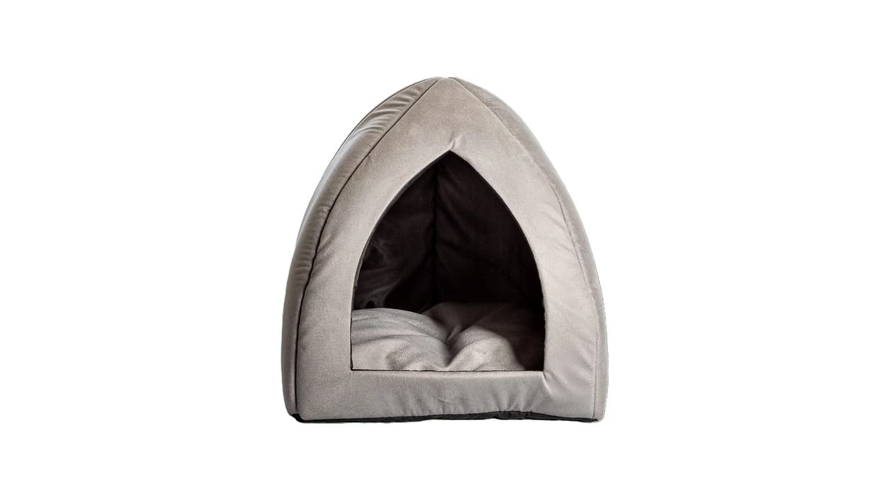 Qual Melhor Tipo de Cama para Cachorro? Guia Prático para Escolher com Conforto
