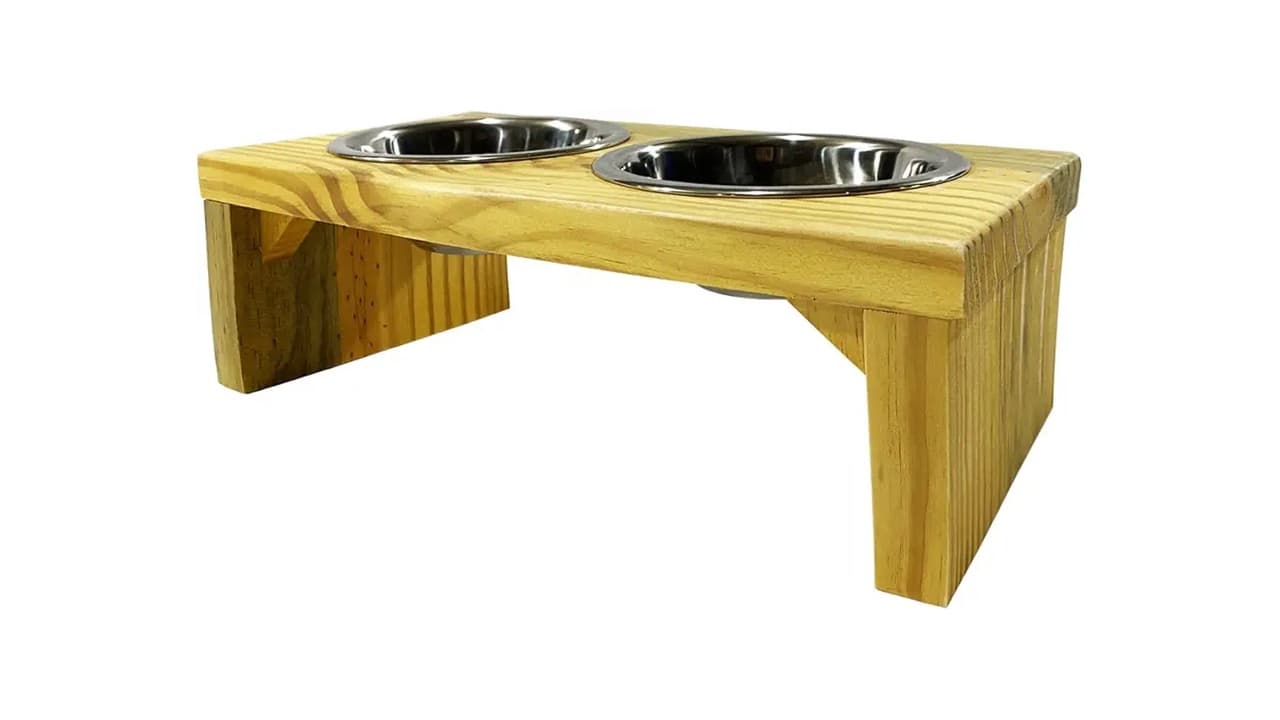 Qual a Melhor Vasilha para Cães e Gatos: 8 Opções para Todos os Bolos